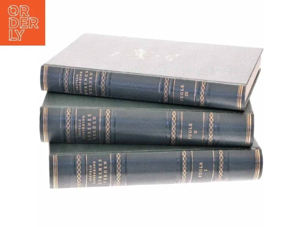 Billede 4 - Dyrenes verden