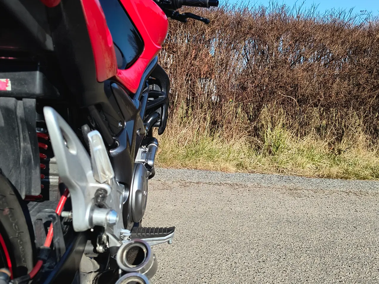 Billede 10 - Suzuki Sfv 650 Gladius 