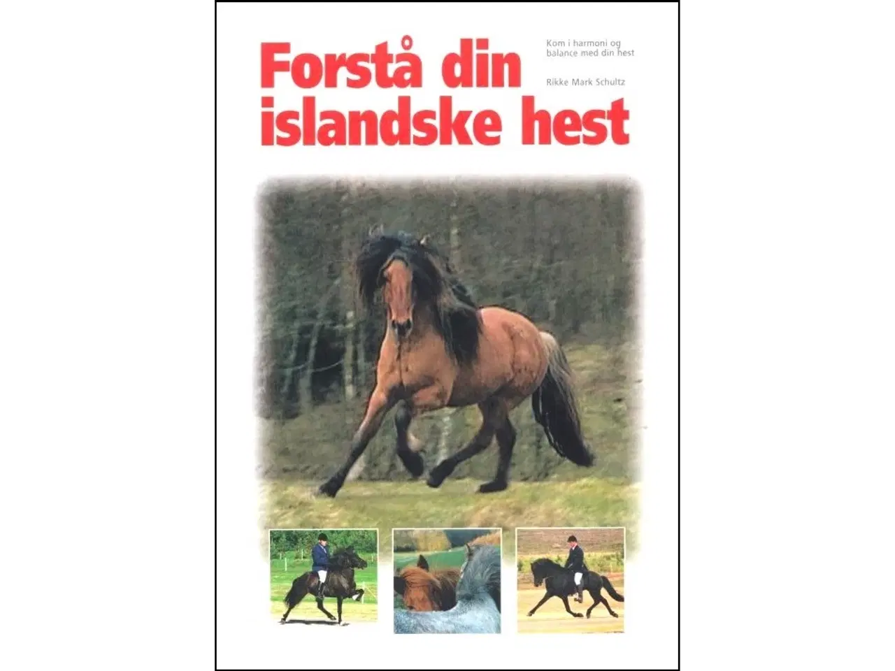 Billede 1 - Forstå din islandske Hest