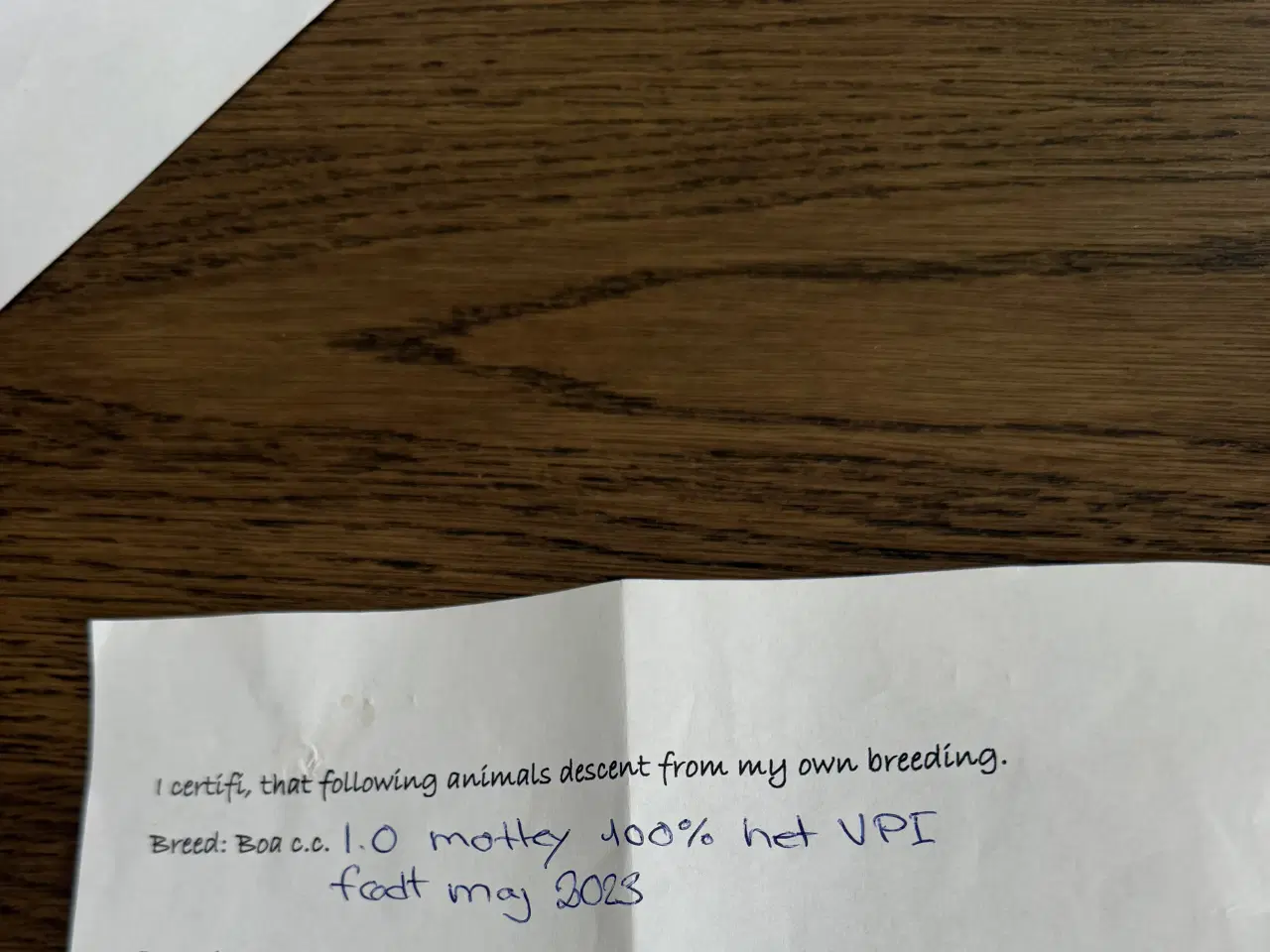 Billede 6 - To kongeboa 