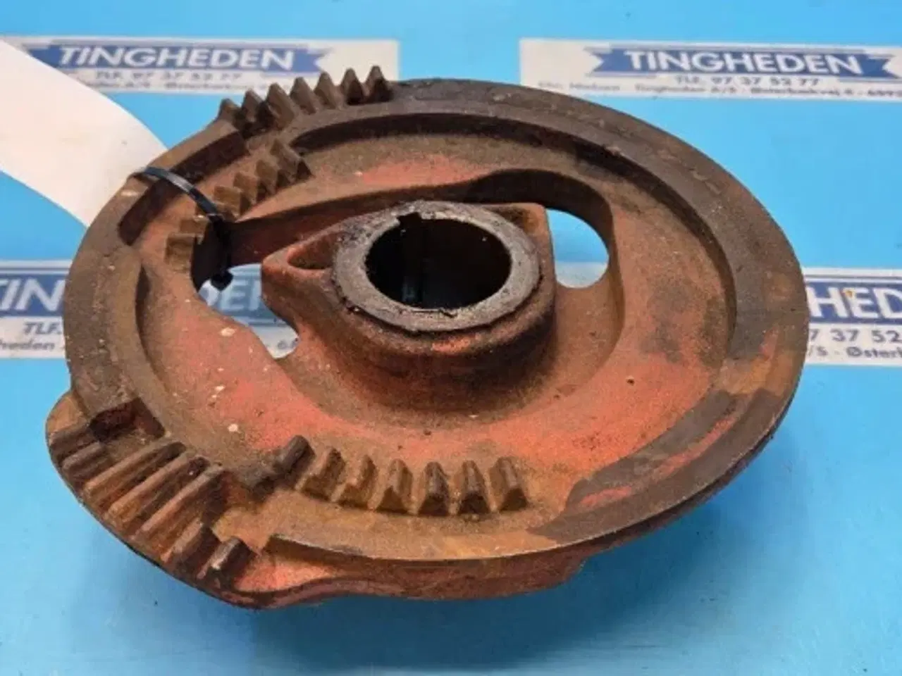 Billede 3 - Hesston 4700 Kamskive 700100868