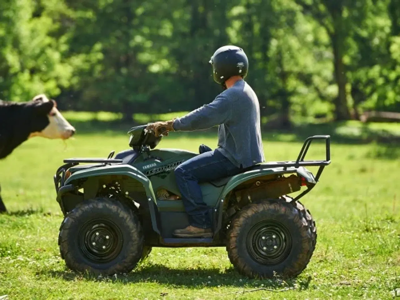 Billede 2 - Yamaha Kodiak 700 EPS Traktor (Electric Power Steering)