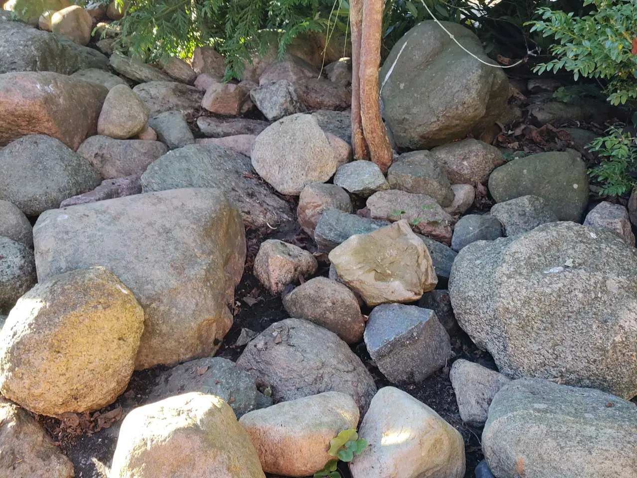 Billede 3 - 100 sten