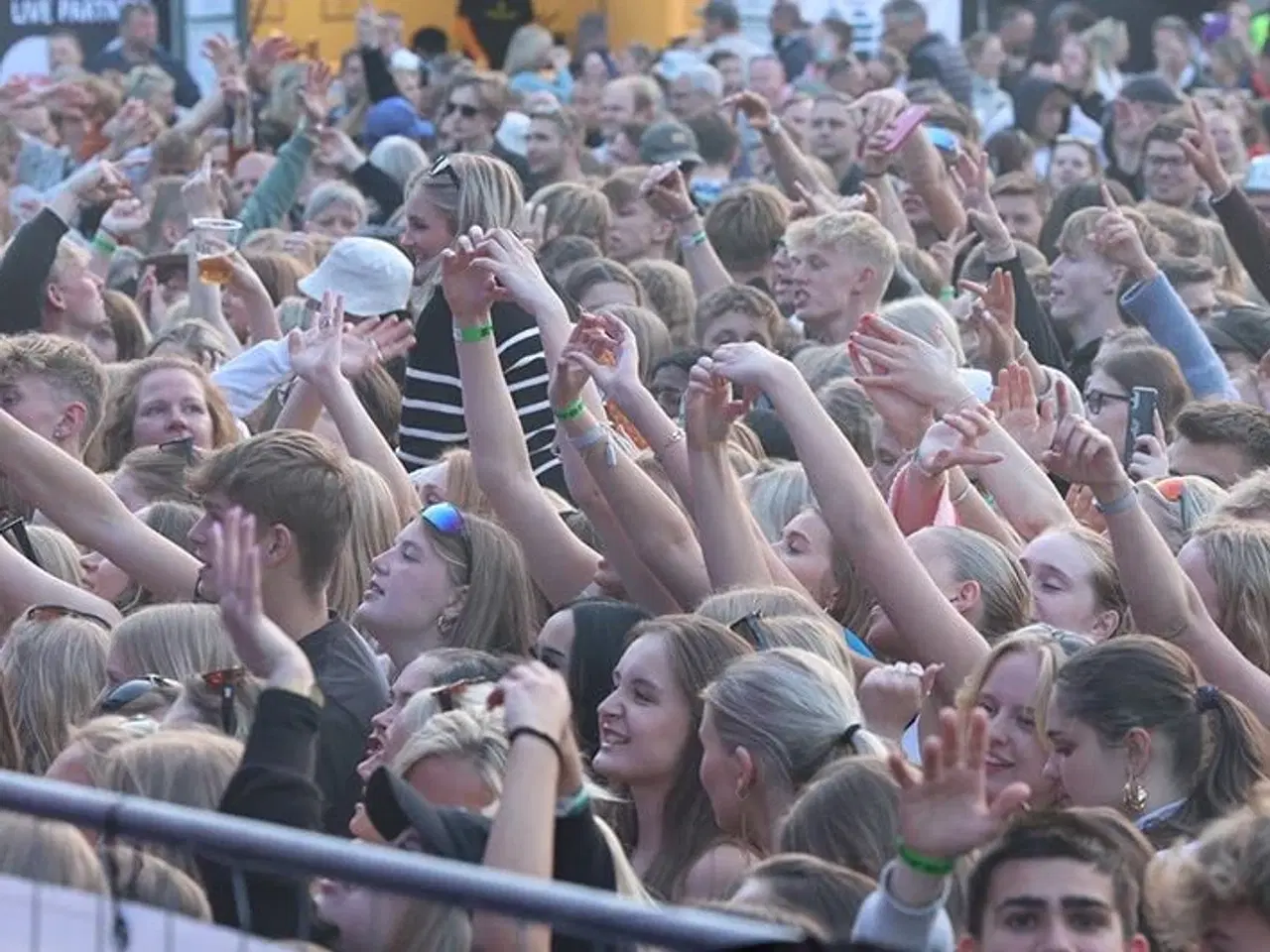 Billede 3 - Høje bøge open air billeter