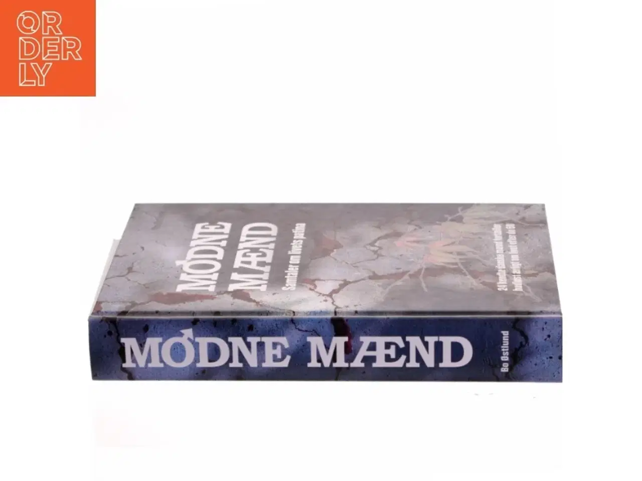 Billede 2 - Modne mænd af Bo Østlund (Bog)
