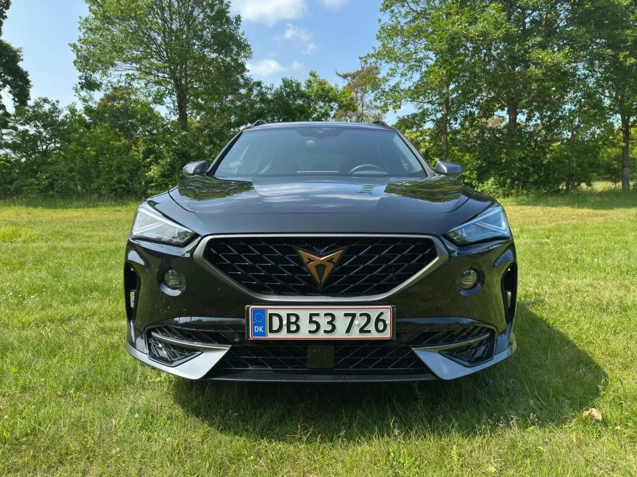 Billede 2 - Cupra Formentor 1,4 eHybrid VZ DSG