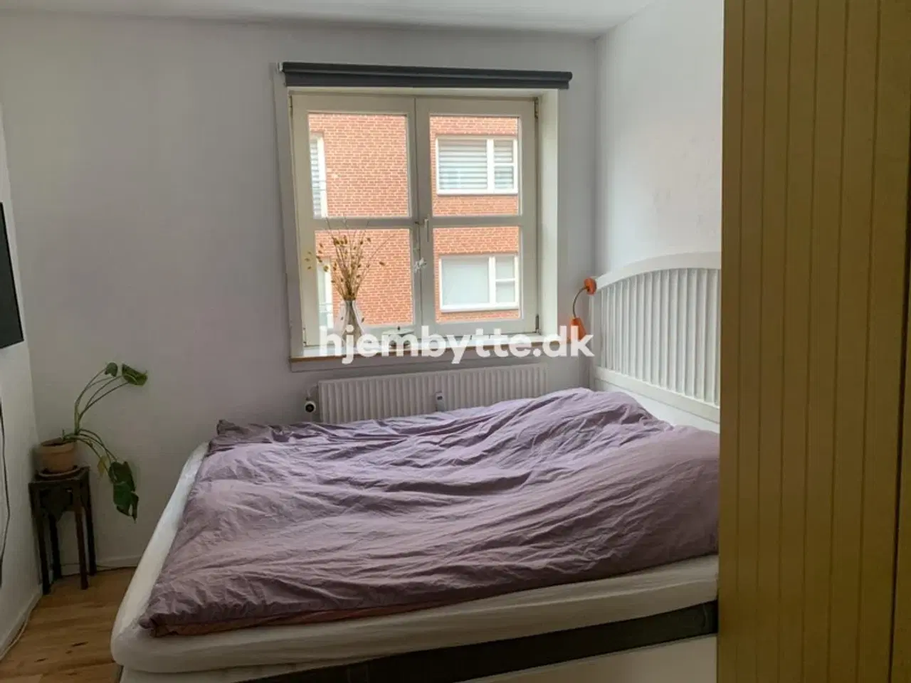 Billede 3 - Hjembytte - Meinungsgade