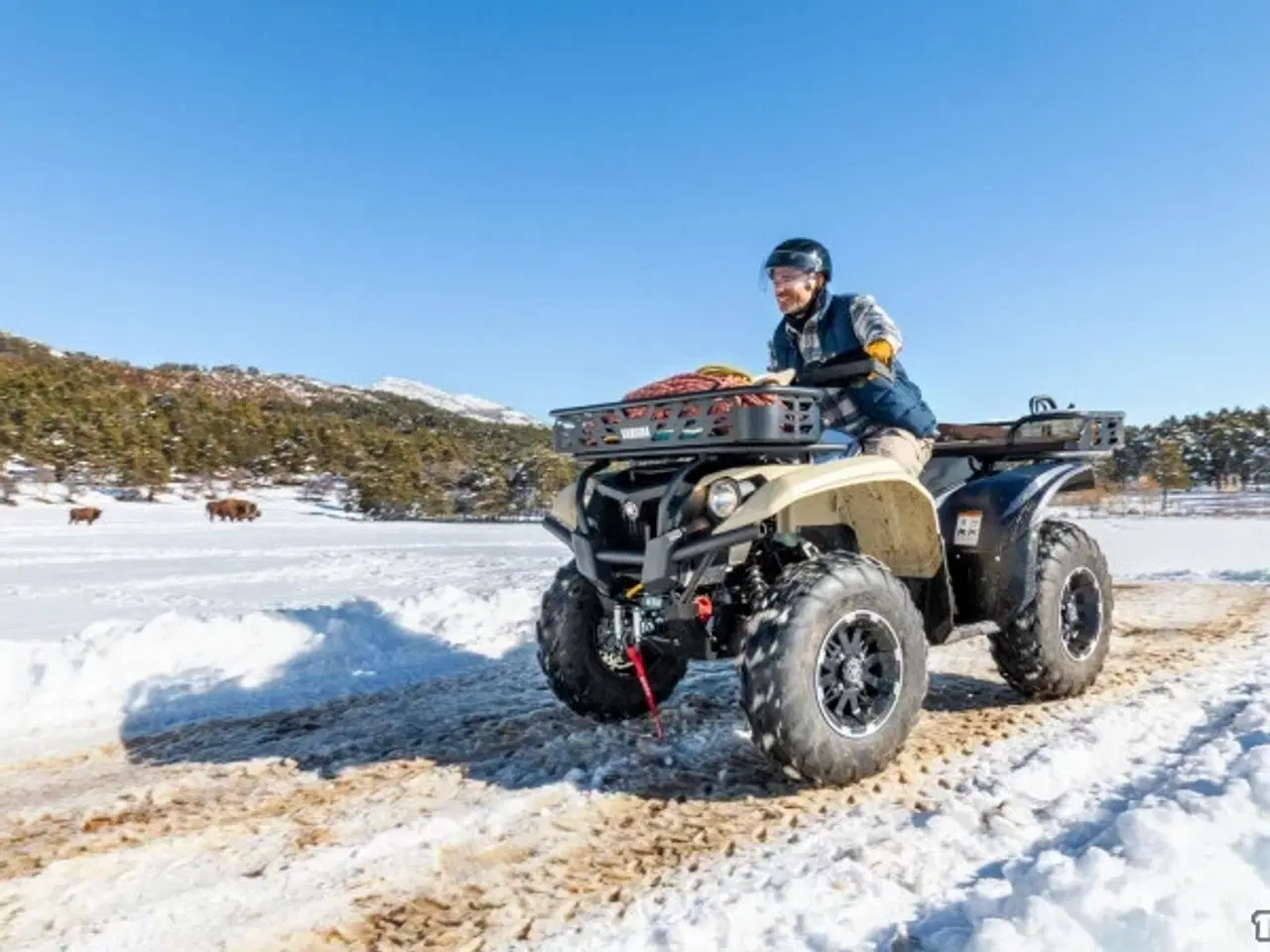 Billede 5 - Yamaha Kodiak 700 EPS Kiwami - Traktor