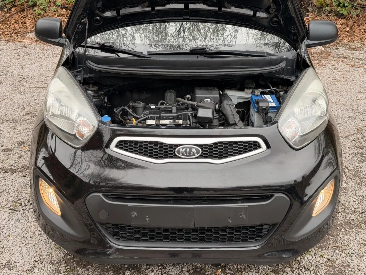 Billede 18 - Kia Picanto 1,0 Active Eco