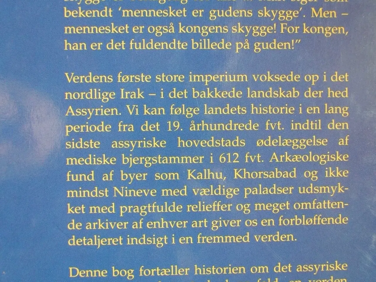 Billede 3 - gudens skygge - det assyriske imperiums historie, 