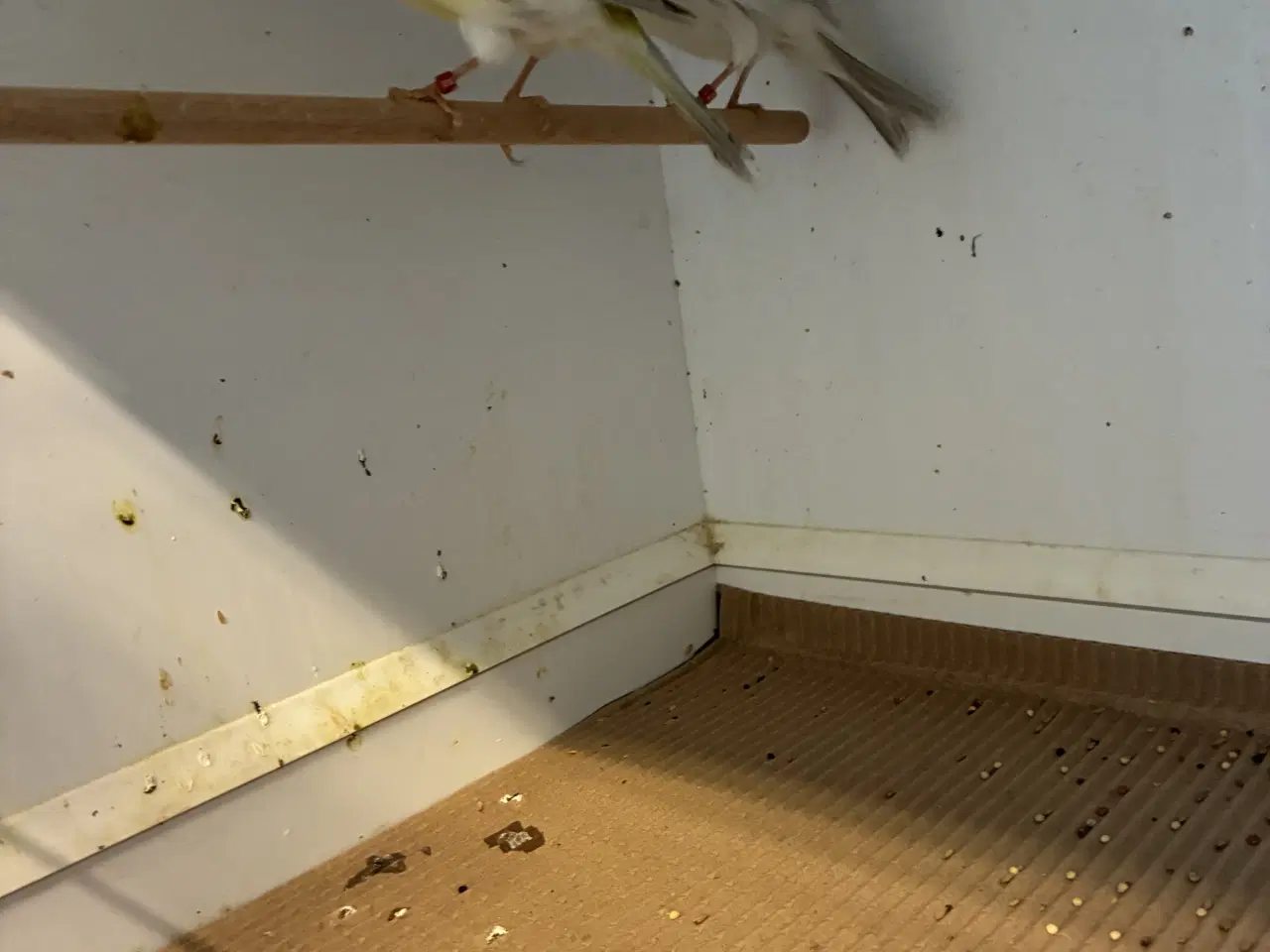 Billede 3 - Agat mosaikker fra 2024