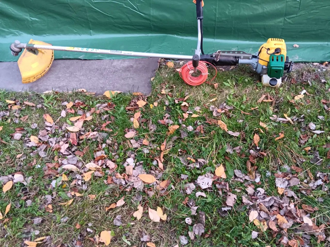 Billede 1 - Benzindrevet buskrydder