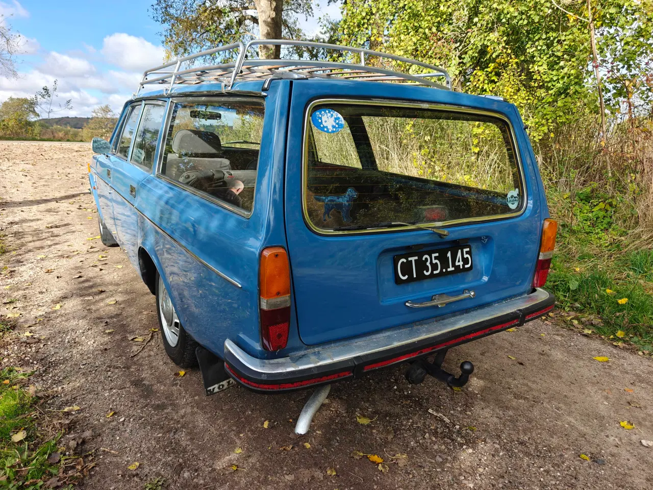 Billede 11 - Volvo 145 1973