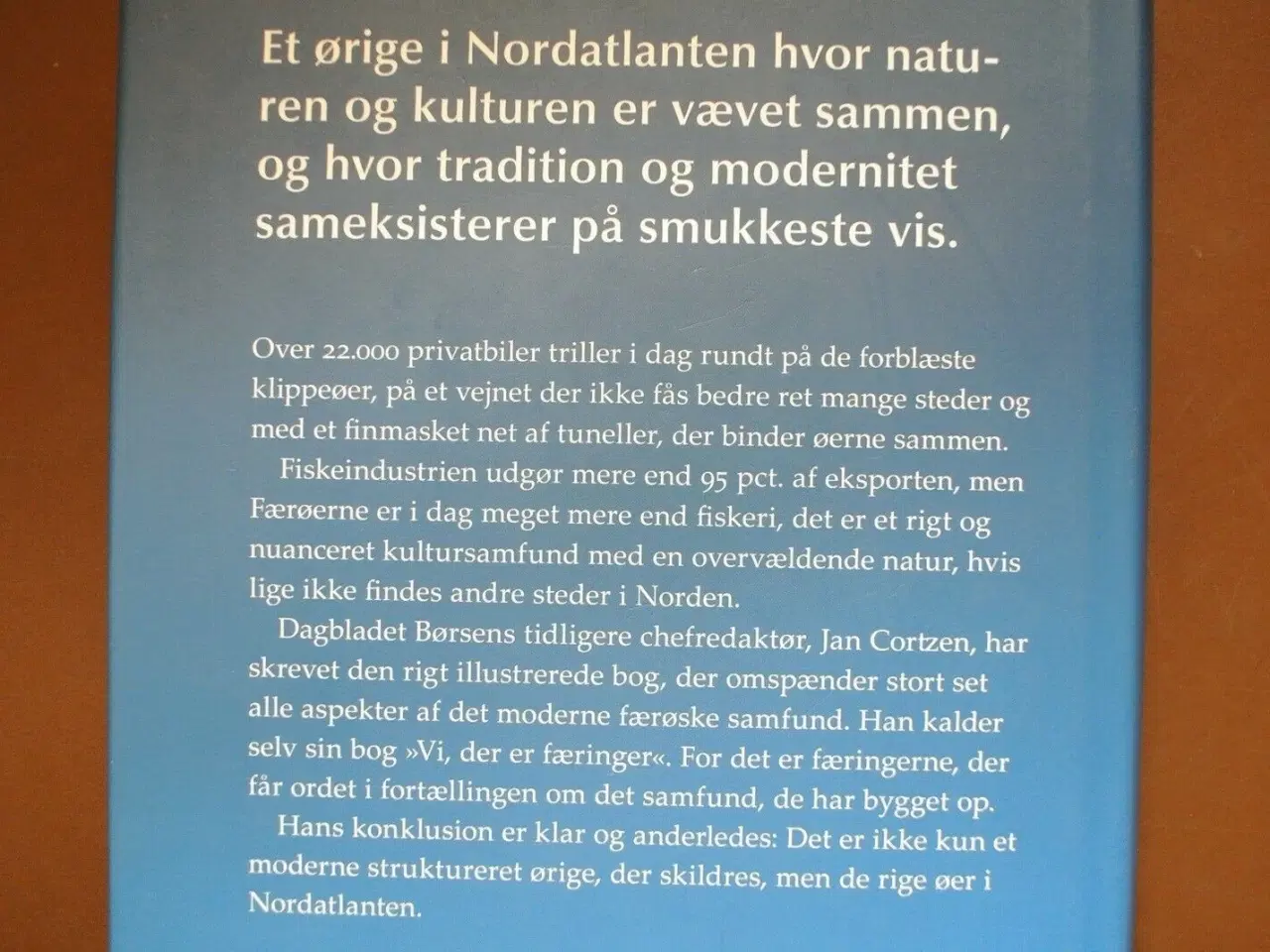 Billede 3 - vi, der er færinger - en samfundsfortælling om de 