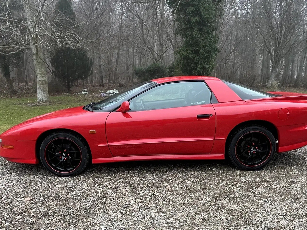 Billede 5 - Pontiac Trans Am V8