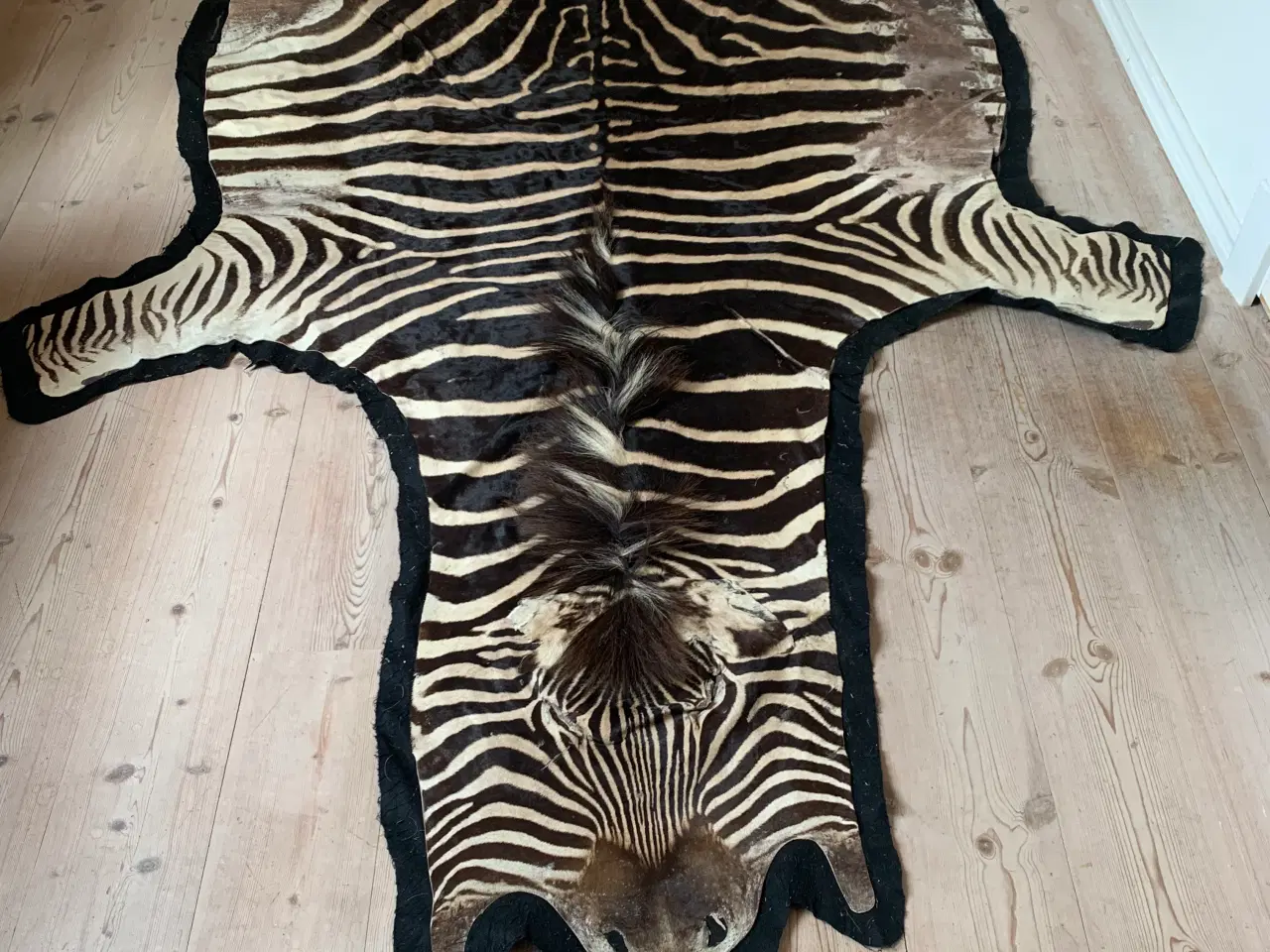 Billede 2 - Fint Zebraskind