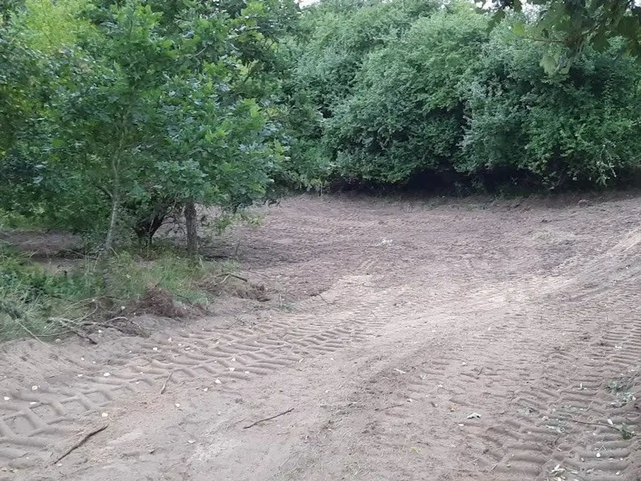 Billede 15 - Tæt på skole. Friskole og BH. afstand 400 m.