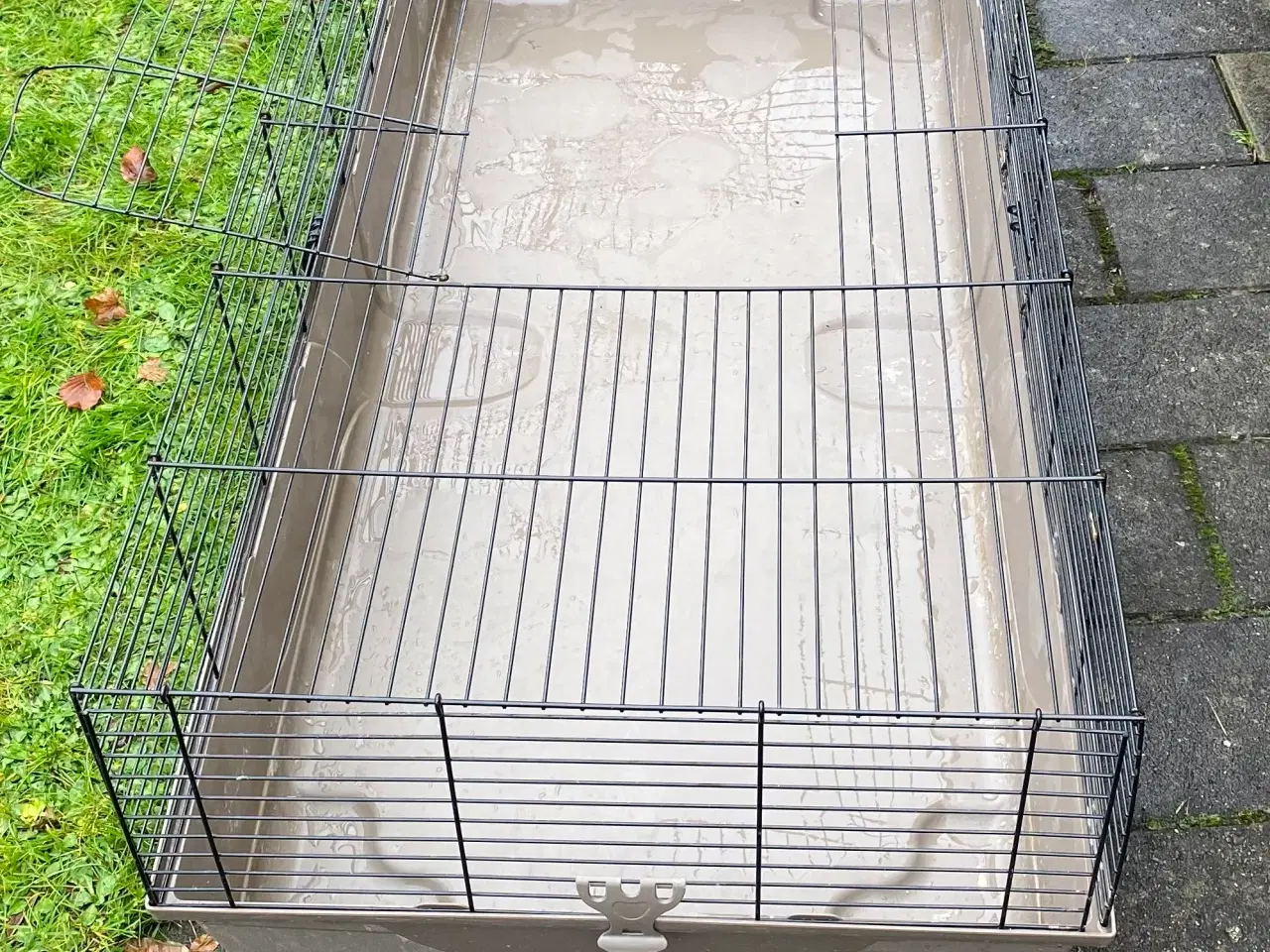 Billede 3 - Gnavebur Baldo