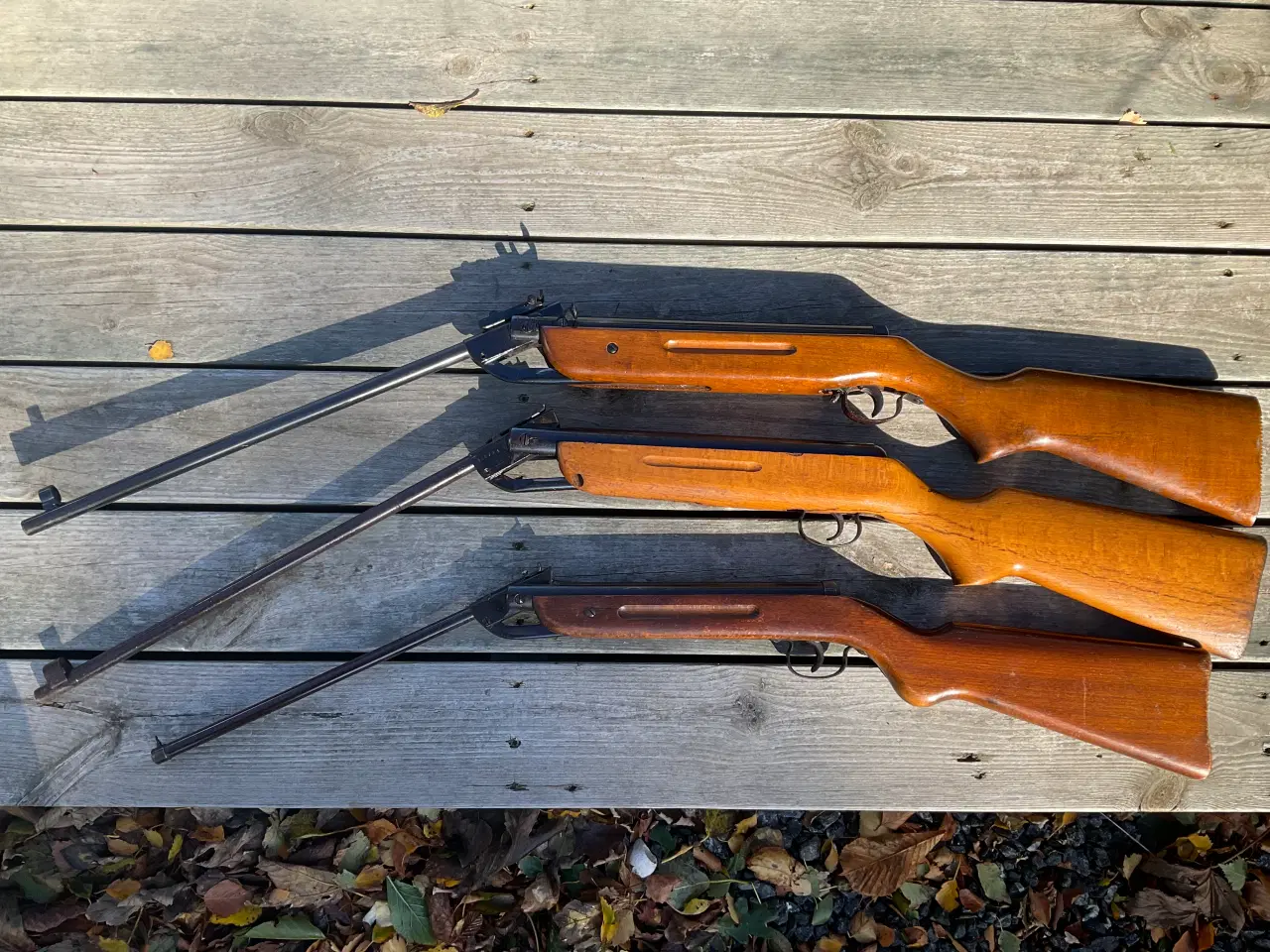 Billede 1 - Luftgevær ældre