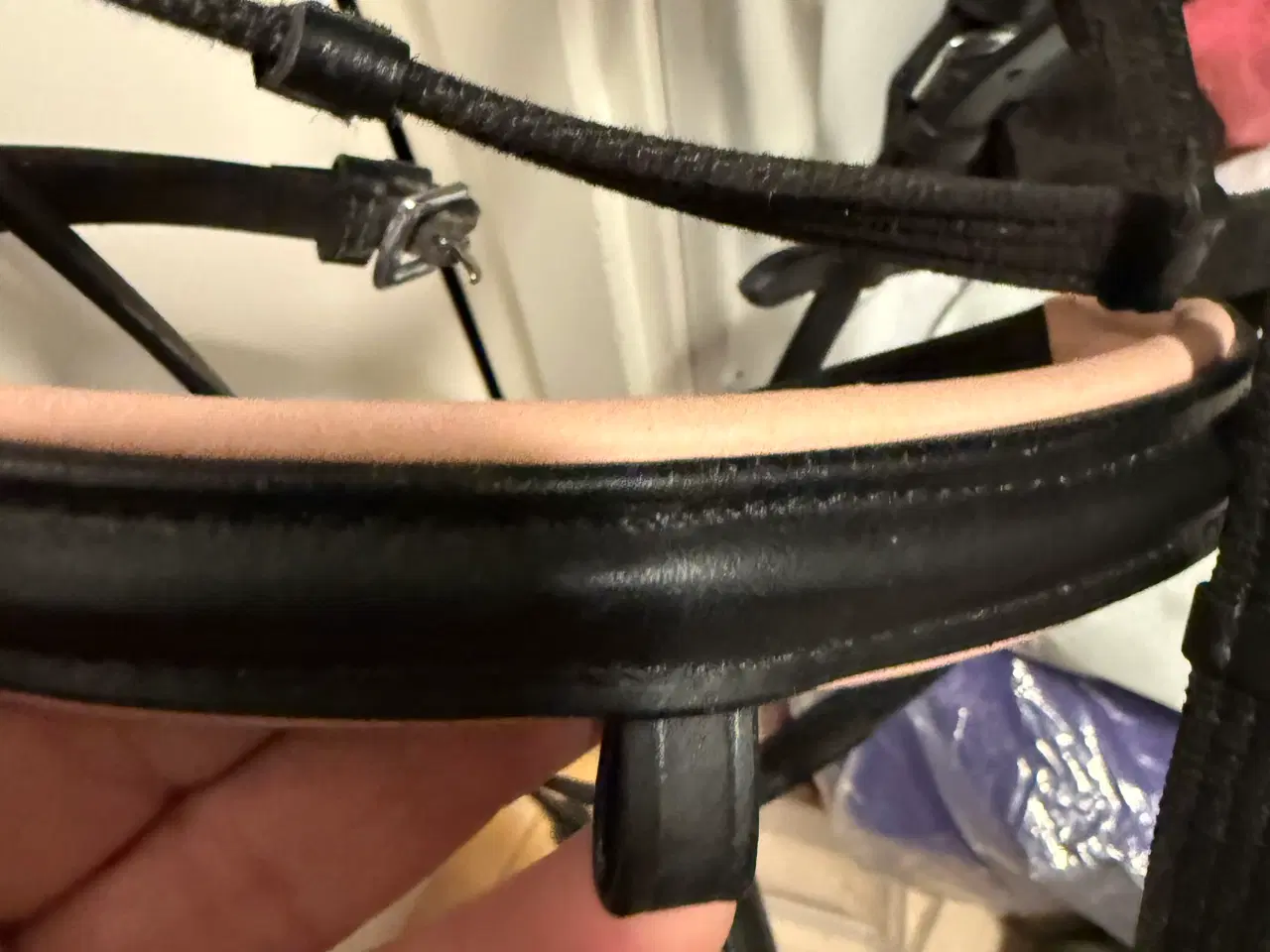 Billede 3 - Shetlænder trense med sommerfugle