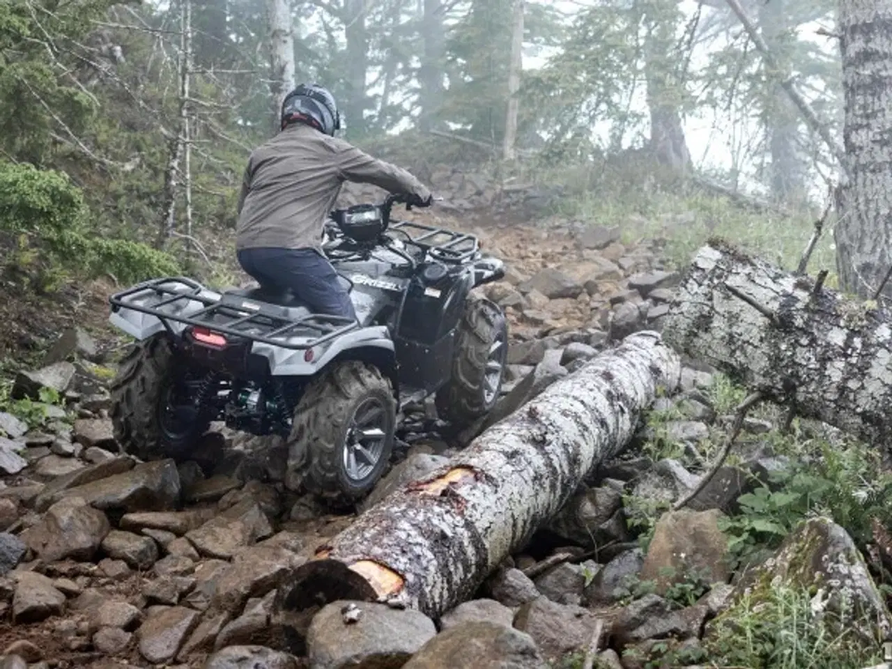 Billede 7 - Yamaha YFM 700 Grizzly EPS SE Traktor