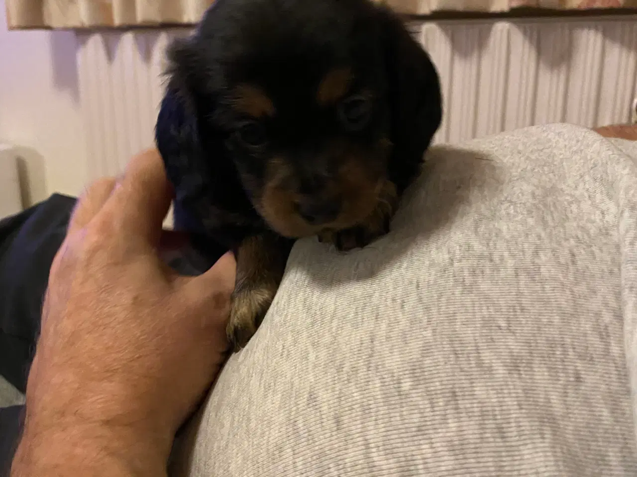 Billede 3 - 1 lille dreng tilbage 