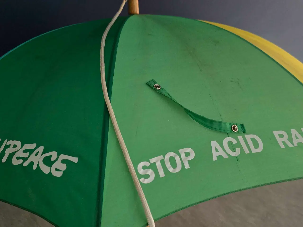 Billede 2 - Stor regnbuefarvet Greenpeace paraply