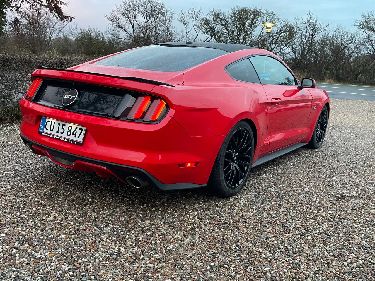 Billede 14 - Ford Mustang efterårs pris