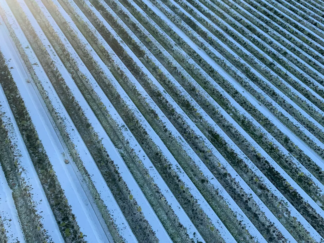 Billede 1 - Stålplader til tag eller sider