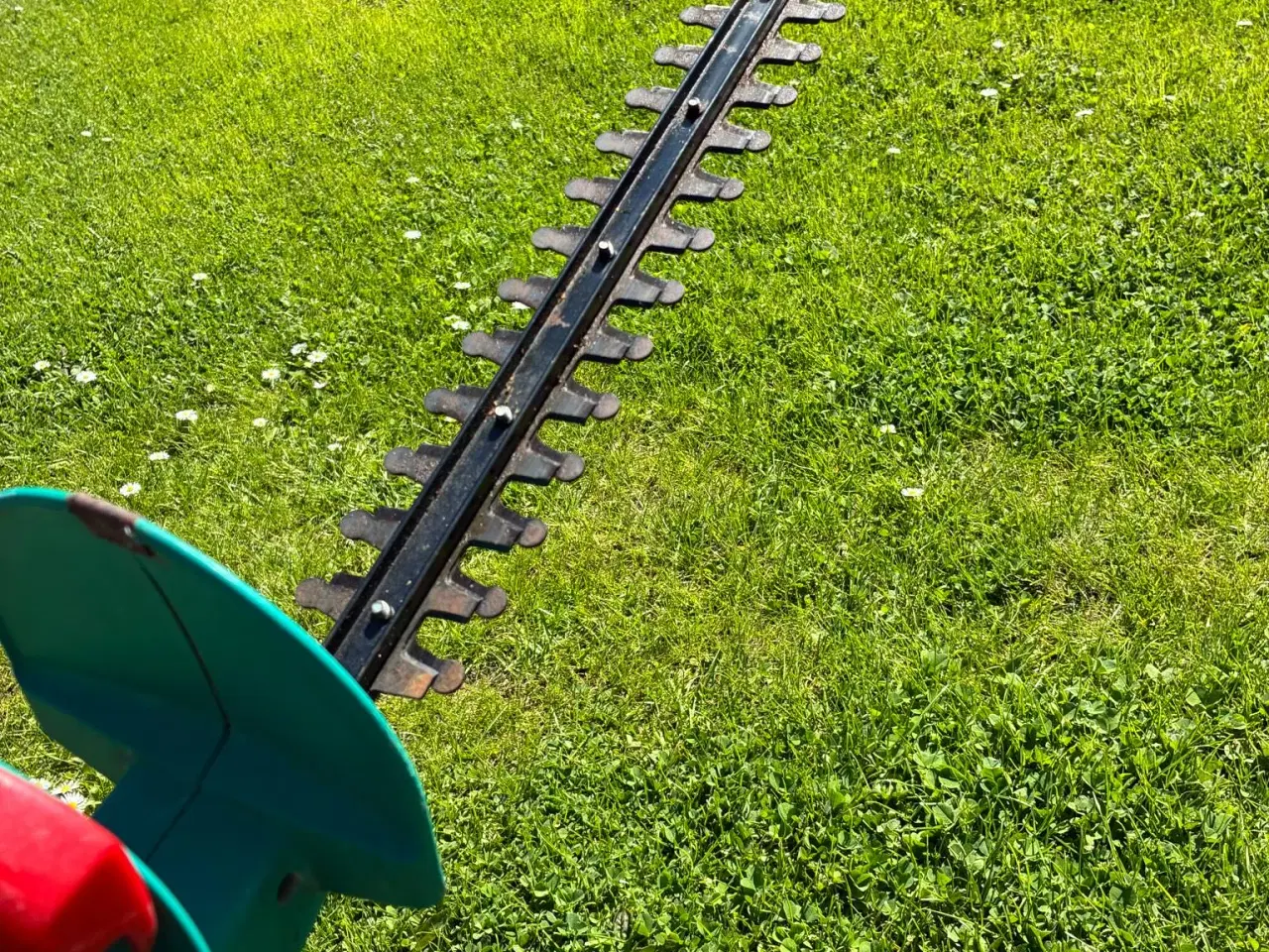 Billede 4 - Hækkeklipper 