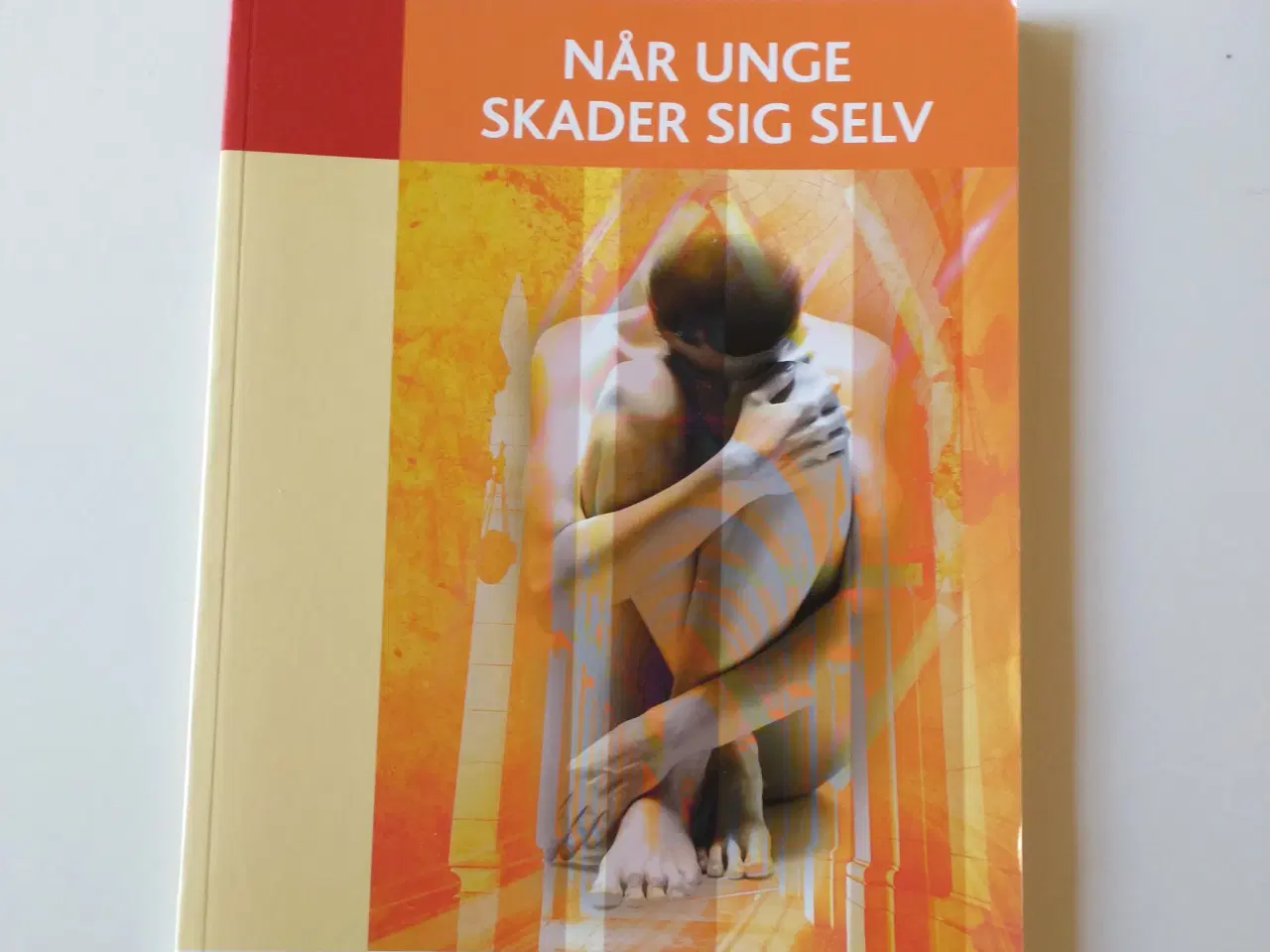 Billede 1 - Når unge skader sig selv. Af Lilian Zøllner