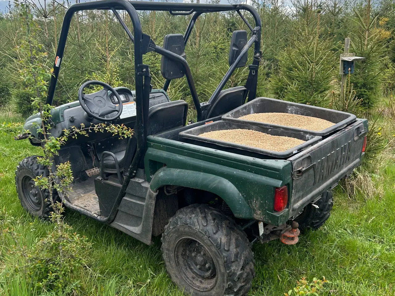 Billede 2 - Yamaha Rhino 