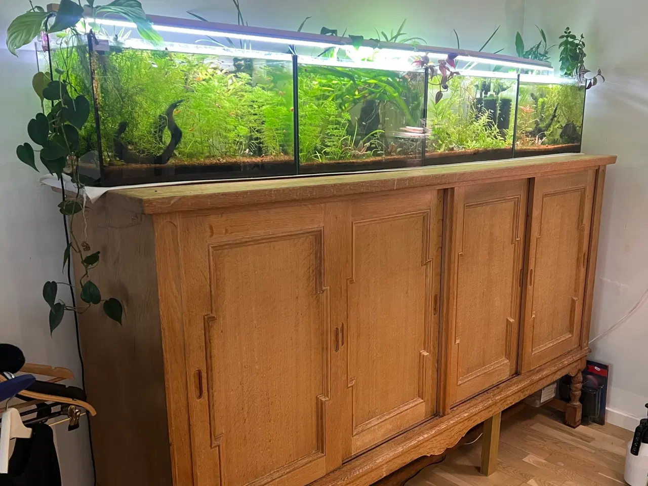 Billede 1 - Fire ens 45 liters akvarier på møbel hvis ønskes