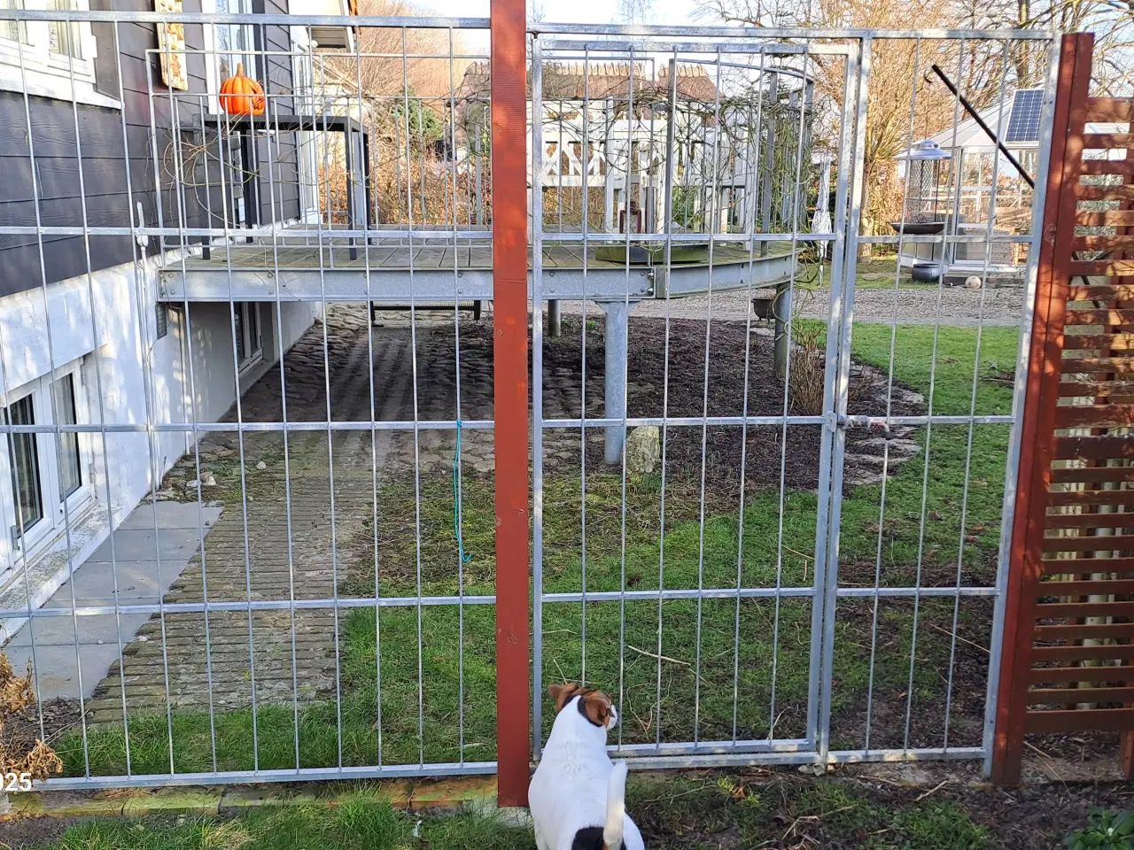 Billede 1 - Hortus hegn