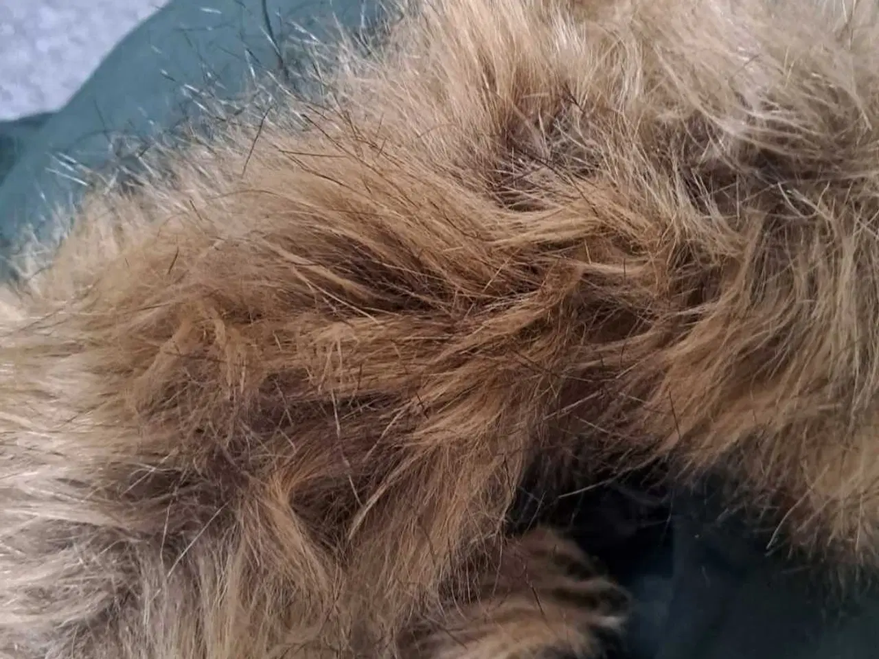 Billede 5 - HELLY HANSEN 