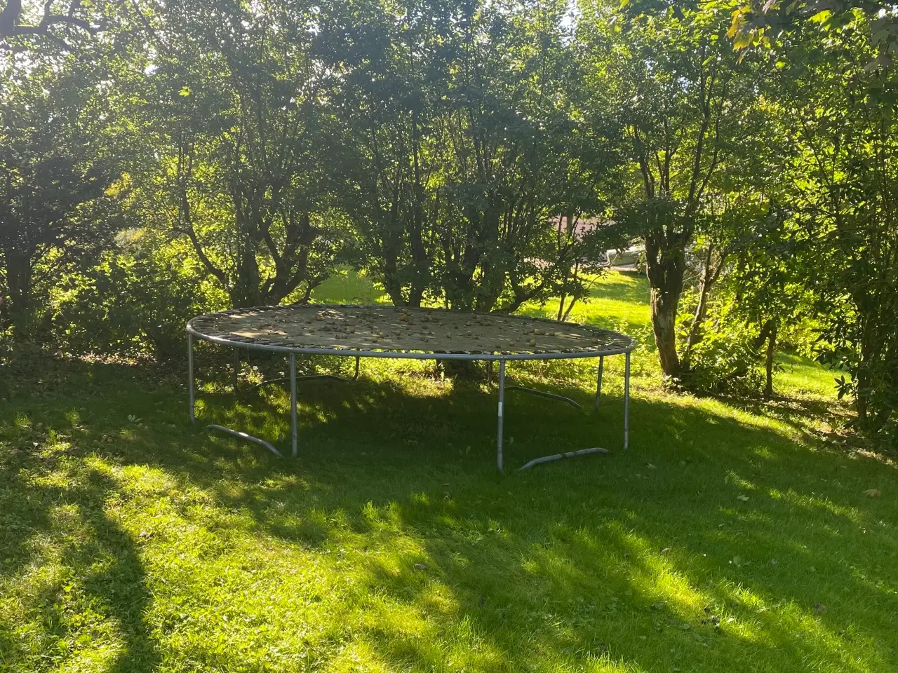 Billede 1 - Gratis trampolin til afhentning