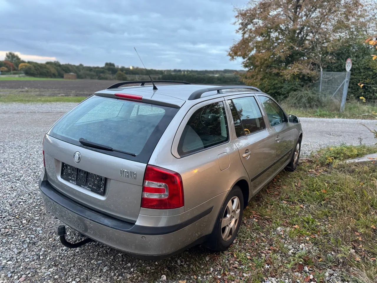 Billede 4 - Skoda Octavia 2.0tdi partikelfilter nysynet