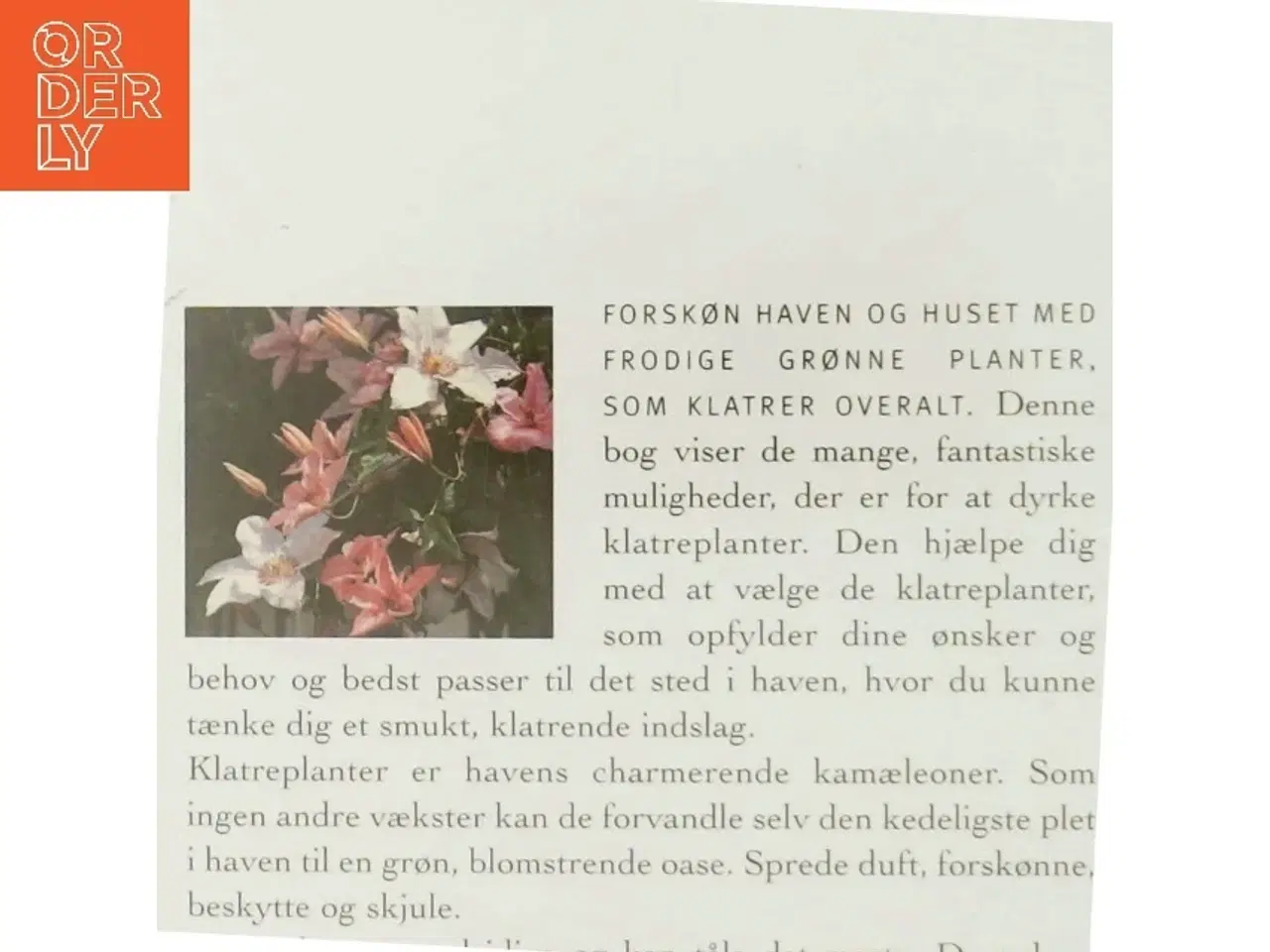 Billede 3 - Der Hammer ist die 2. von links : kommunikativ tyskundervisning af Peter Clausen (f. 1955) (Bog)