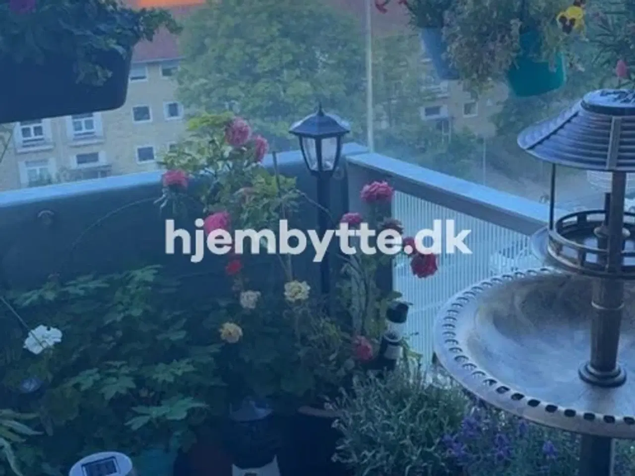 Billede 8 - Hjembytte - Grønnevej