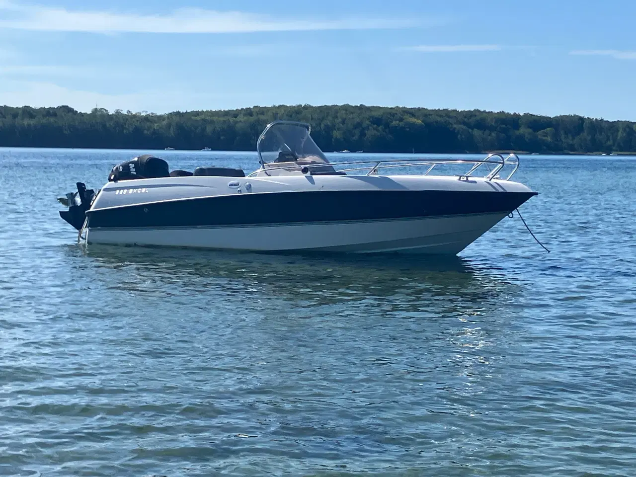 Billede 2 - Aseladden 525 Excel