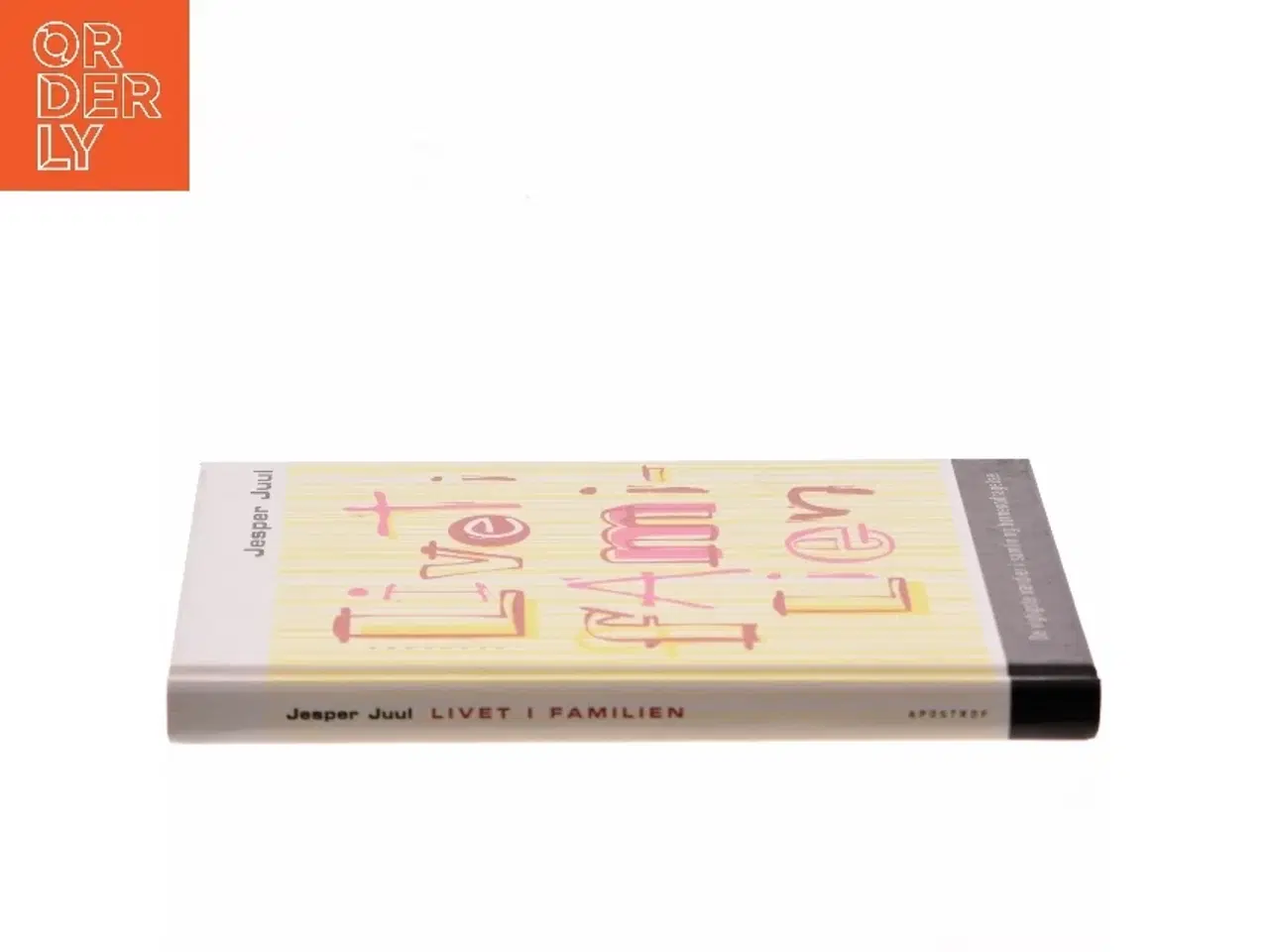 Billede 2 - Livet i familien : de vigtigste værdier i samliv og børneopdragelse af Jesper Juul (f. 1948) (Bog)