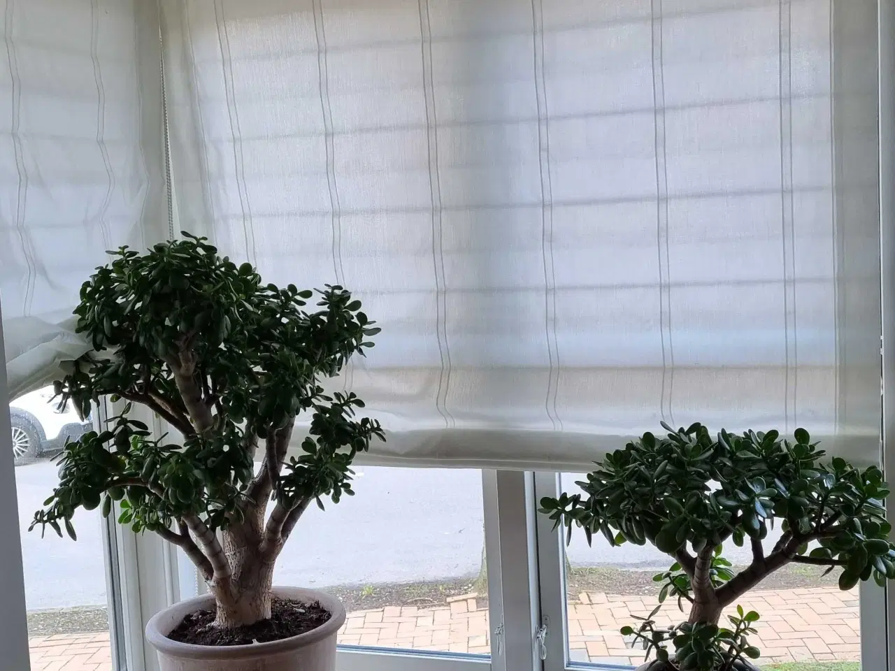 Billede 3 - Foldegardiner, hvid flagdug