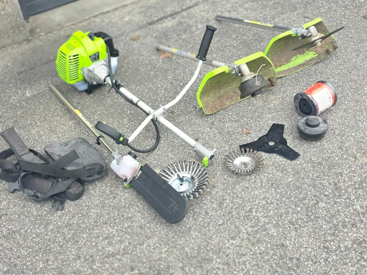 Billede 3 - Buskrydder 