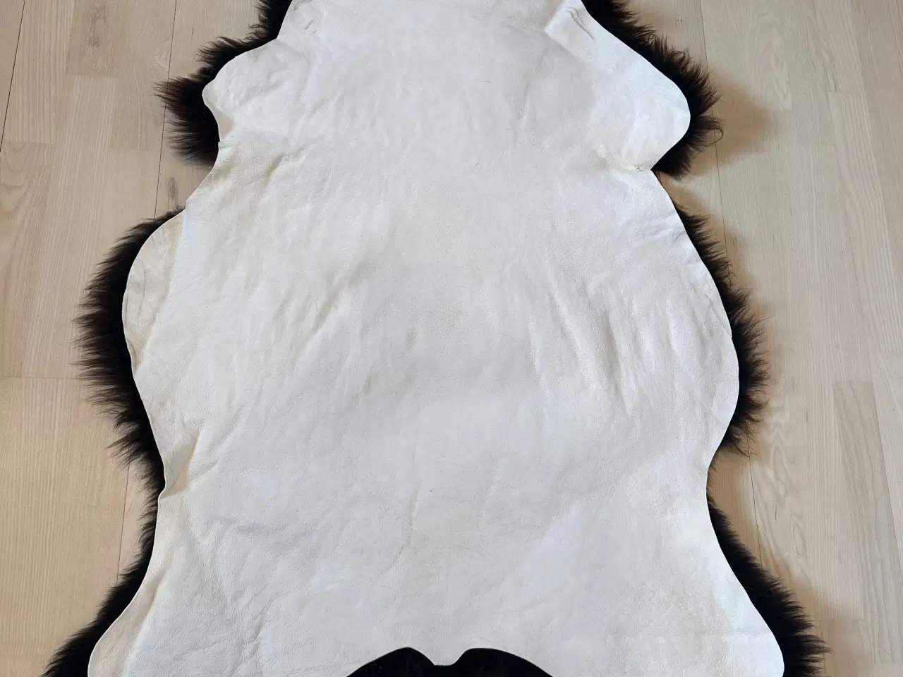 Billede 5 - Helt nyt dansk lammeskind 