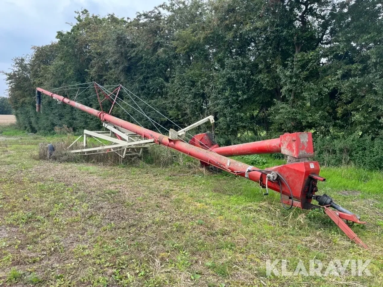 Billede 1 - Amerikaner snegl Buhler Farming