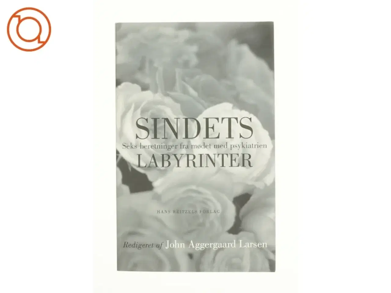 Billede 1 - Sindets labyrinter af John Aggergaard Larsen (Bog)
