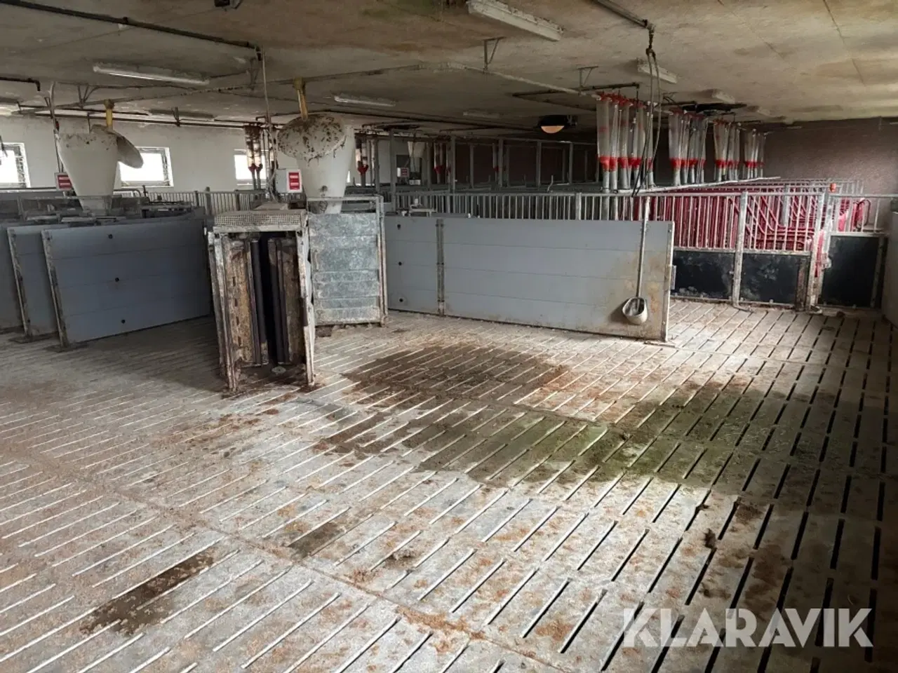 Billede 1 - Komplet grisestald alt inventar medfølger