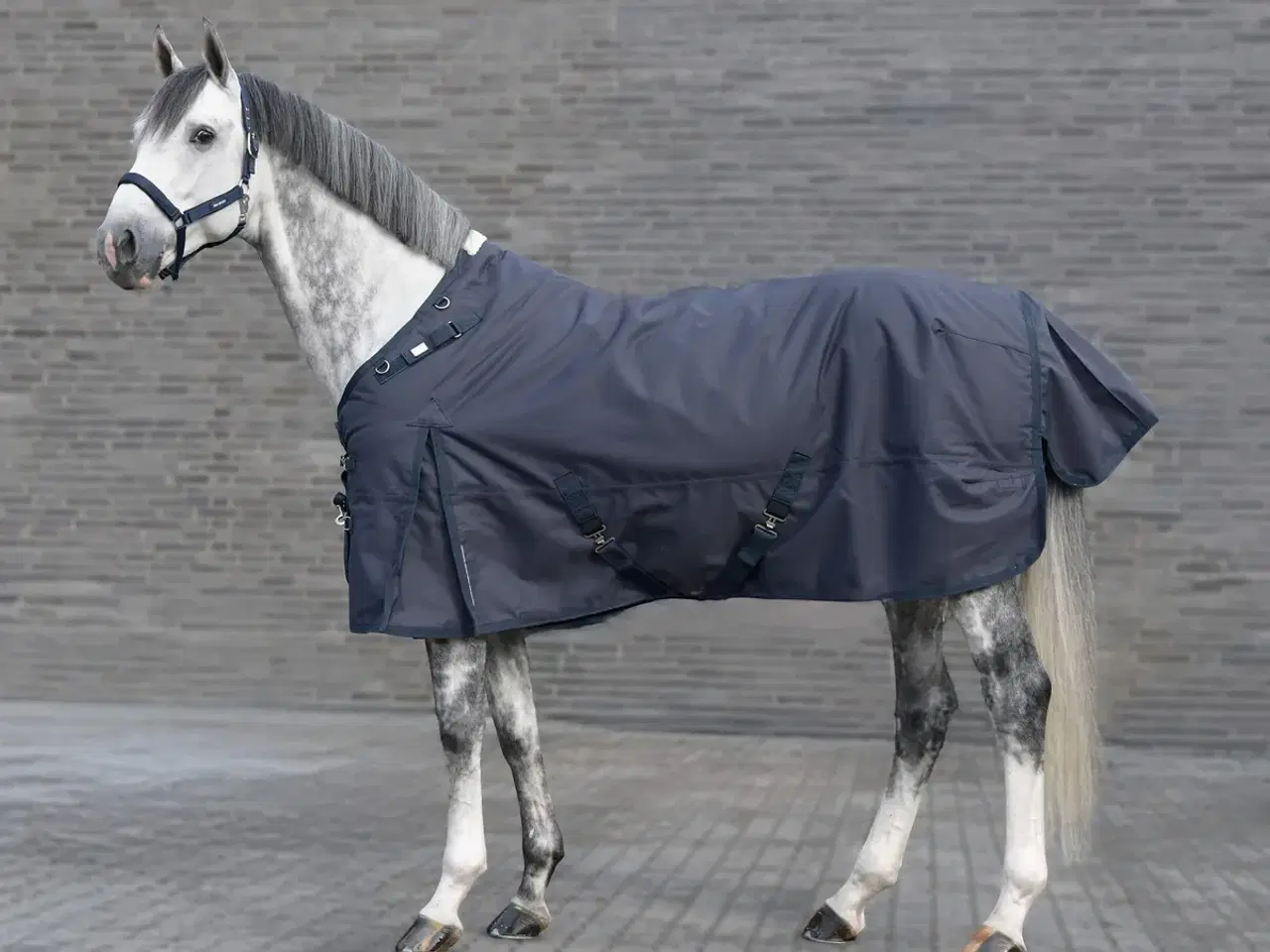 Billede 2 - Rbh 145 m hals 300g