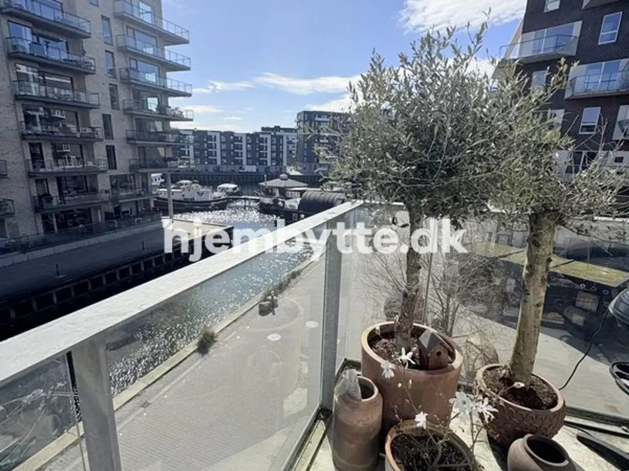 Billede 2 - Hjembytte - Havneholmen