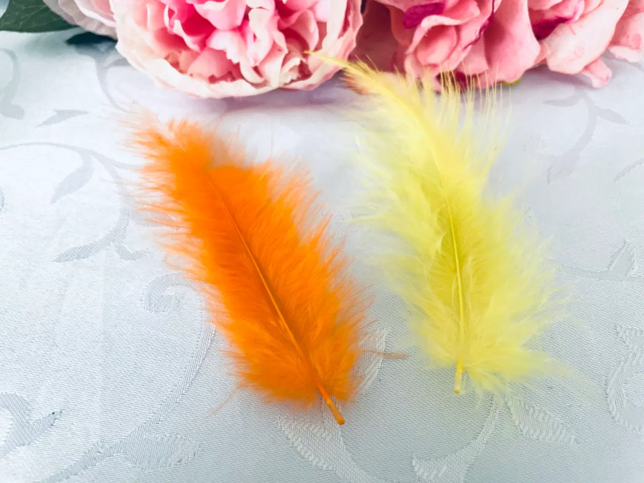 Billede 5 - Blandet fjer 